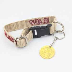 RAW Dog Enthusiastic Tan Dog Collar